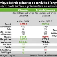 Tableau - Approche économique de trois scénarios de conduite à l’engraissement des croisés Valoriser 16 ha de surface suppléme