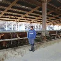 Clément Bourgninaud est l'un des deux salariés du site d'engraissement Terres de Crécoli, qui accueille 800 jeunes b