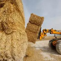 Chantier de paille pendant les moissons dans le departement de la Marne. Chargement et dechargement de ballots de paille de bl
