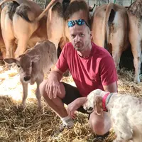 éleveur vaches parthenaise