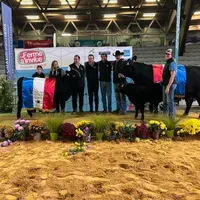Taureau et vache suitée de race Angus et leurs éleveurs, mis à l'honneur en présentation à La Ferme s'invite, à Poit