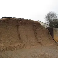 silo de maïs ensilage
