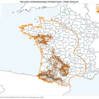 Cartographie de la zone réglementée au titre de la MHE à partir des foyers du sud-ouest (à la date du 20 février 2025)