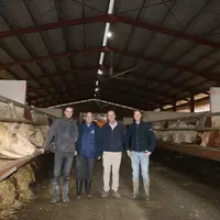 Eleveurs bovins viande et leur conseiller, dans le bâtiment d'engraissement des jeunes bovins où un ventilateur assure la