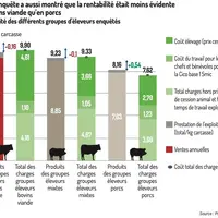 Graphique - Cette enquête a aussi montré que la rentabilité était moins évidente en bovins viande qu’en porcsRentabilité des d