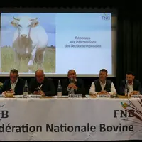 Pour Patrick Bénézit, président de la Fédération nationale bovine, il est aujourd’hui légitime et surtout plus que jamais poss