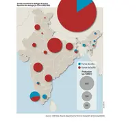 Graphique - Six états concentrent les abattages de bovinésRépartition des abattages par État en 2022/2023
