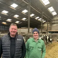 Jean-Noël Savieux et son fils Antoine Savieux, agriculteurs éleveurs à Fleury dans le Pas-de-Calais, dans leur stabulation vac
