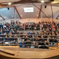 vente aux enchères taureaux aubrac station d'évaluation de La Borie en Aubrac