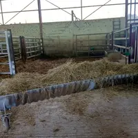 auge fabriquée à partir d'un cumulus, ouverte pour accéder au box dans le bâtiment des bovins