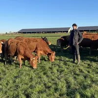 éleveur prairie limousine