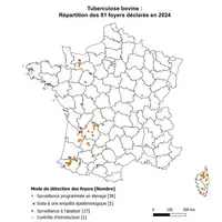 carte de France foyers tuberculose bovine en 2024