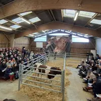 vente de reproducteurs Rouge des Prés