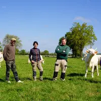 FRANCE - Ferme de Lantouny - La race Lourdaise