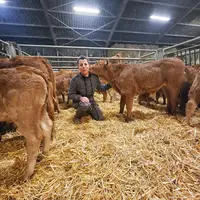 éleveuse avec des bovins dans une stabulation sur paille