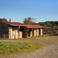 Aude Gaec de Bergnes élevage aubrac