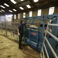 élevage bovins viande contention FCO vétérinaire