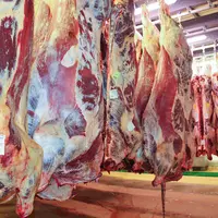 carcasses de bovins en abattoir. bovin viande. viande bovine.