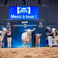 gènes diffusion génétique et paillettes