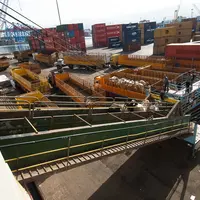 Liban Beyrouth zébus sud américains débarquement bateau