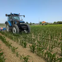 Bineuse et pulvérisateur se complètent pour désherber efficacement et durablement le maïs.
