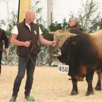 concours national aubrac