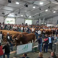 concours national limousine 2025 Baraqueville