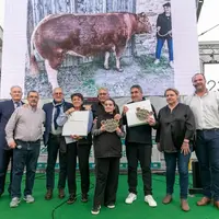 concours boucherie Or Rouge les journées limousines