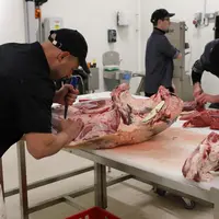 Deux bouchers decoupant une carcasse de boeuf Charolais dans un atelier de decoupe bovin dans les Ardennes.