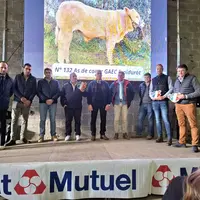 concours charolaise cercy-la-tour 2025
