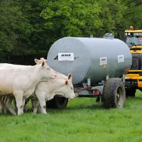 Eleveur de bovin Charolais remplissant une tonne a eau et la livrant dans une pature.