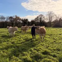 Pascal Cabon éleveur de blondes d'Aquitaine dans le Finistère, prairies