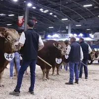 salon de l'agriculture concours général agricole limousine