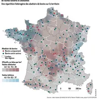 Graphique - Localisation des abattoirs de bovins (spécialisés ou multiespèces) en fonction des densités d'élevage de vach