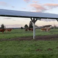 prototype ombrière agrivoltaïque Triangle Sol'R, Loir-et-Cher, élevage bovins Limousine