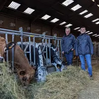 éleveurs devant des vaches aubrac et vosgiennes