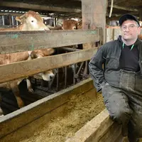<em class="placeholder">éleveur vaches à l'engraissement </em>