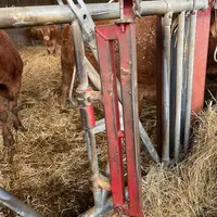 <em class="placeholder">contention cornadis passage d'homme vaches limousines</em>