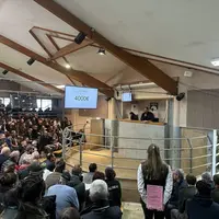 vente aux enchères taureaux aubrac station d'évaluation raciale Aveyron
