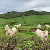 Ferm'Inov Jalogny ferme expérimentale