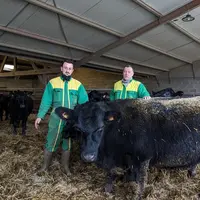 <em class="placeholder">Charly et Christian Marot, éleveurs, avec une génisse Angus</em>