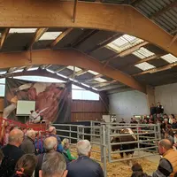 Vente aux enchères Rouge des Prés