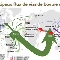 <em class="placeholder">carte des échanges internationaux de viande bovine</em>