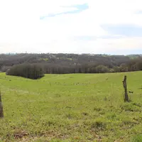prairie pyrénées atlantiques