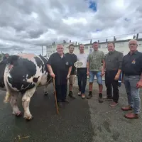 Festival de la viande d'Evron