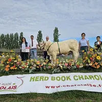 concours national des veaux charolaise 2026