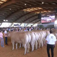 concours national blonde d'aquitaine 2026 agen
