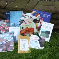 Des idées de lecture pour les fêtes de fin d'année...