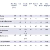 Desciptif des cas-type caprins
