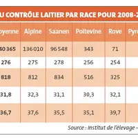 Les résultats du contrôle laitier par race pour 2008-2009